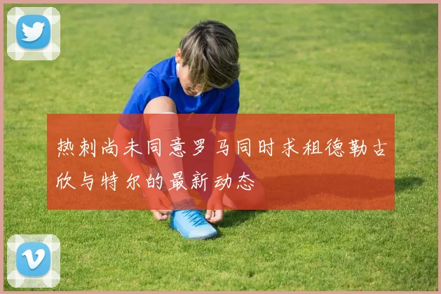 热刺尚未同意罗马同时求租德勒古欣与特尔的最新动态