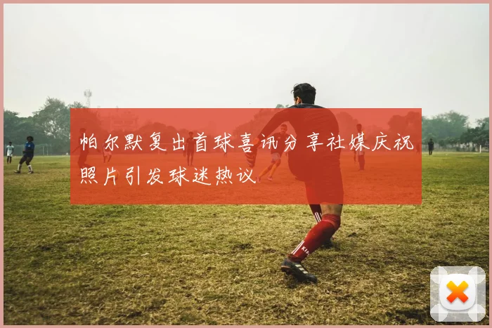 帕尔默复出首球喜讯分享社媒庆祝照片引发球迷热议