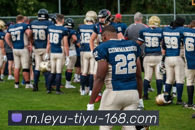 乐鱼体育平台生态图