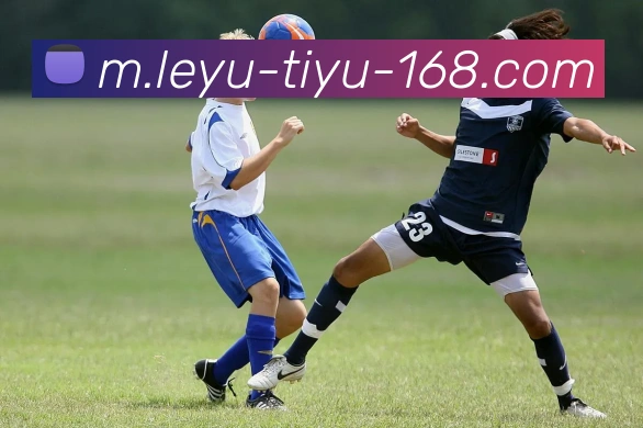 乐鱼体育APP 封面图